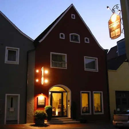 Stadt-gut-hotel Altstadt-hotel Stern 3* 德尔奥博的新市场