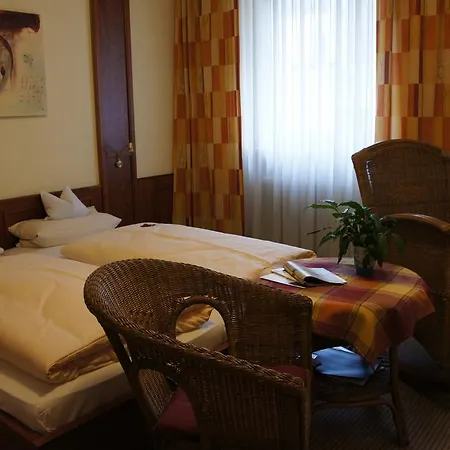 Stadt-gut-hotel Altstadt-hotel Stern 德尔奥博的新市场