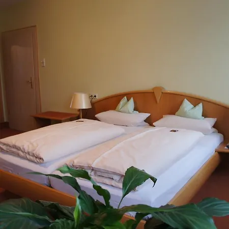 Stadt-gut-hotel Altstadt-hotel Stern 酒店