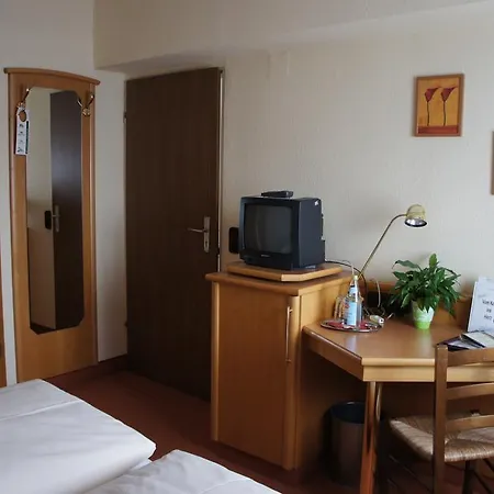 Stadt-gut-hotel Altstadt-hotel Stern 德尔奥博的新市场