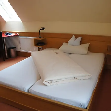 Stadt-gut-hotel Altstadt-hotel Stern 3* 德尔奥博的新市场
